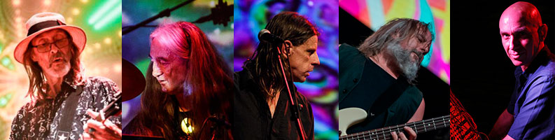 Hawkwind current line-up